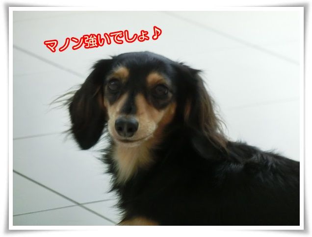 3_20141021093419b56.jpg