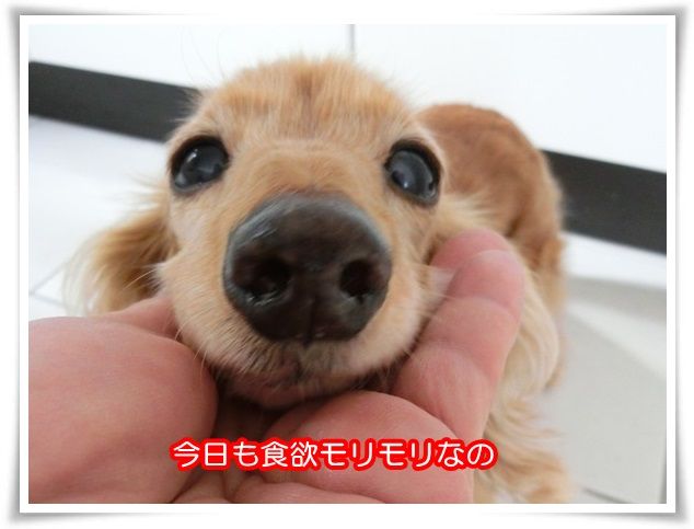6_2015031919263796b.jpg