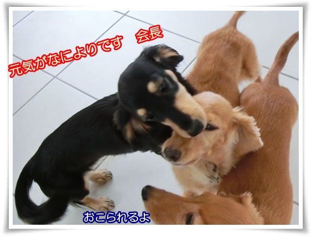 4-20140829.jpg