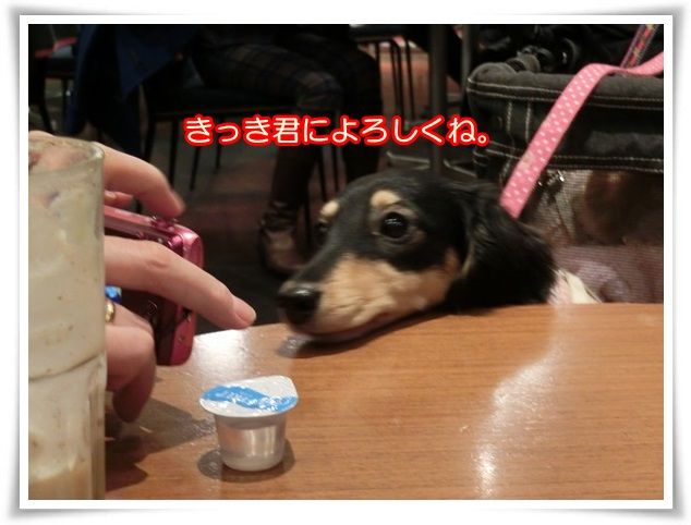 16_20141228085241b15.jpg