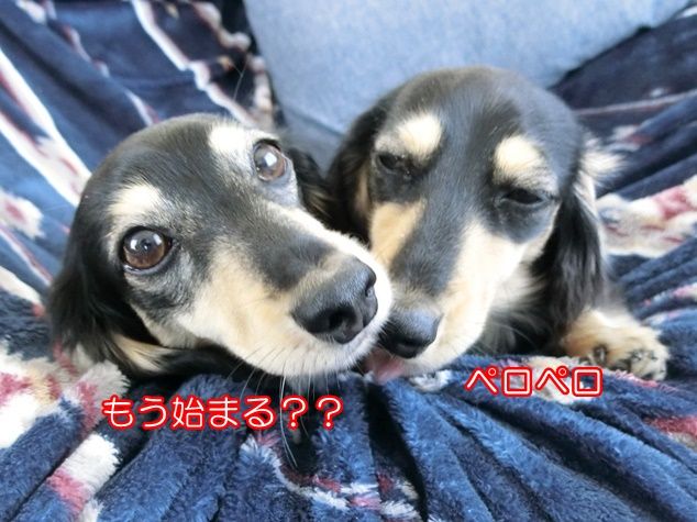 CIMG9373