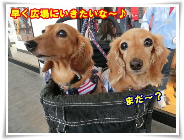 3_201309241101569fe.jpg