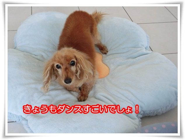 10-20150526.jpg