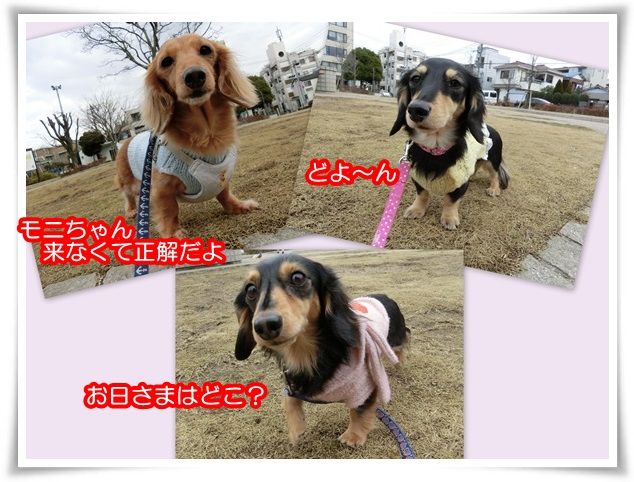 新しいフォルダー (3)2a-20150124
