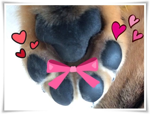 16EA23D8-FAF5-47EA-A28E-0B4C64EFCF8B-20161029