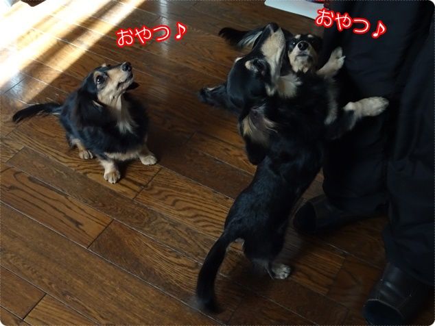 DSC04490