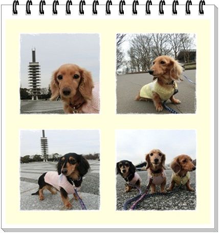 page1-20130123.jpg