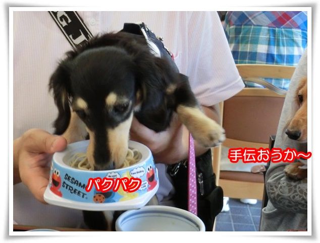 20-20150518.jpg