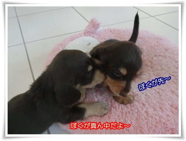 7_20140129100430b4d.jpg