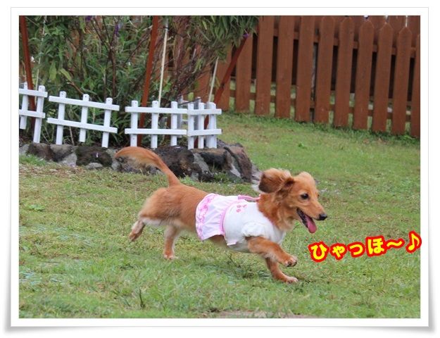 9-20131016.jpg