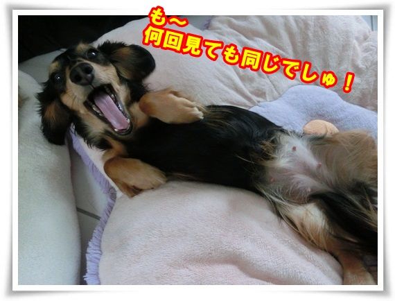 4_20131126110622be7.jpg
