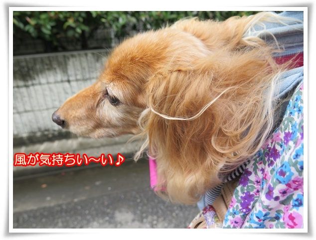 10-20160829.jpg
