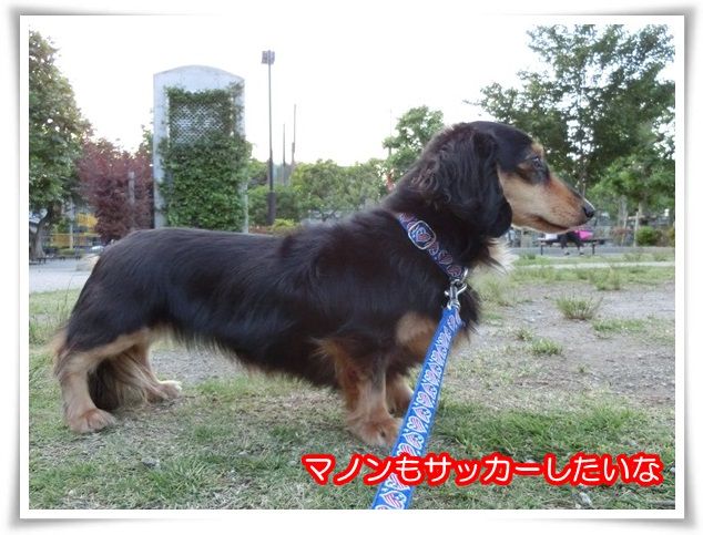 18-20150527.jpg