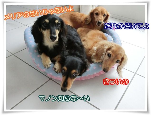 3_201410250923264ee.jpg