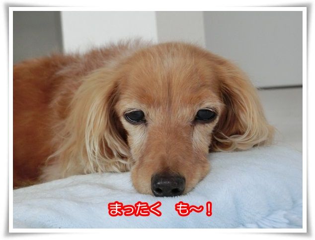 7-20150528.jpg