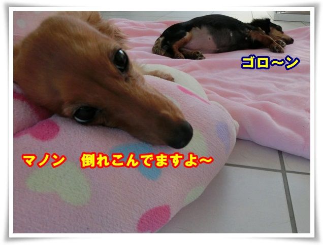 2_201312231027141b3.jpg