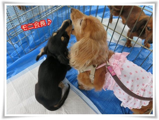 4_201607042053115cb.jpg