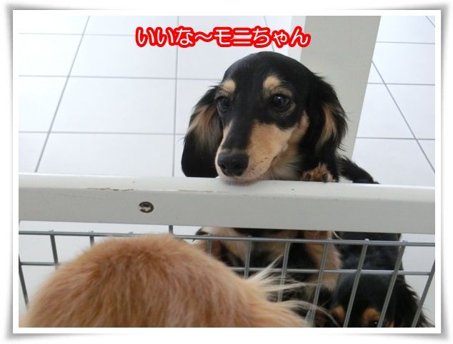 4-20150321.jpg