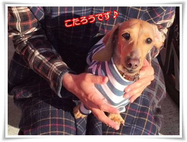 S__18620464a-20161224