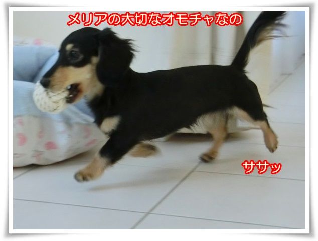 4_20141229093347e89.jpg