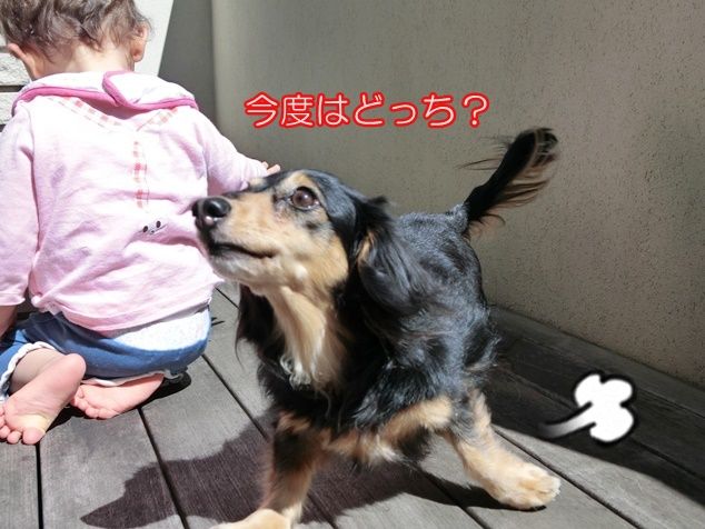 CIMG9575