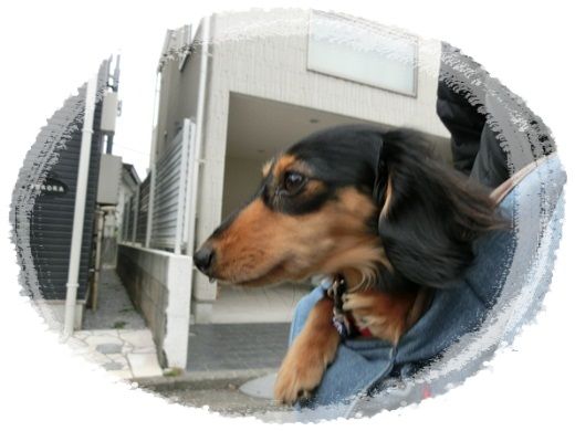 CIMG0902-20130215.jpg