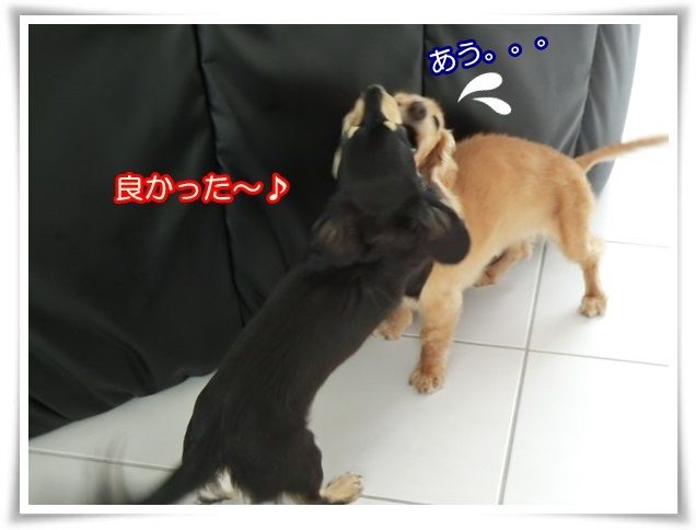 2-20140829.jpg