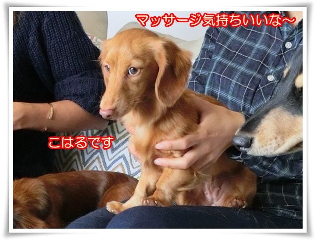 7_20141028094844b9d.jpg