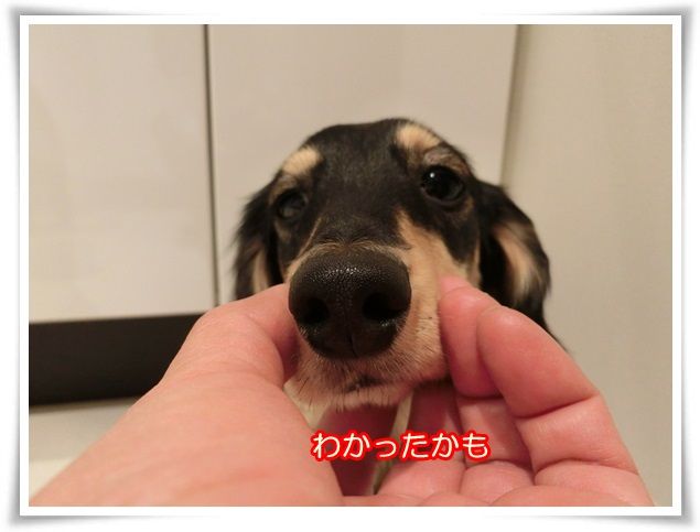 7_20141222092037071.jpg