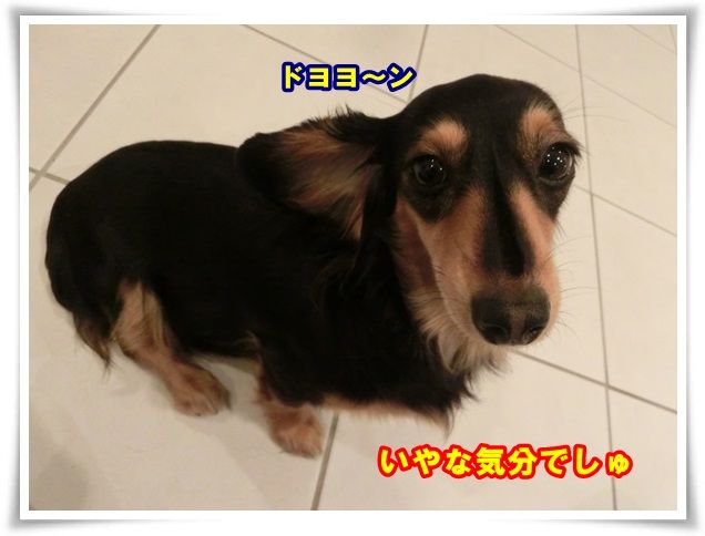 5_20131206112427bed.jpg