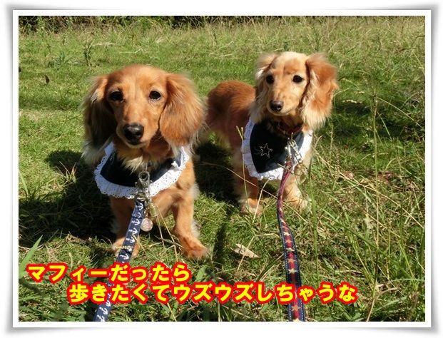 7-20131101.jpg