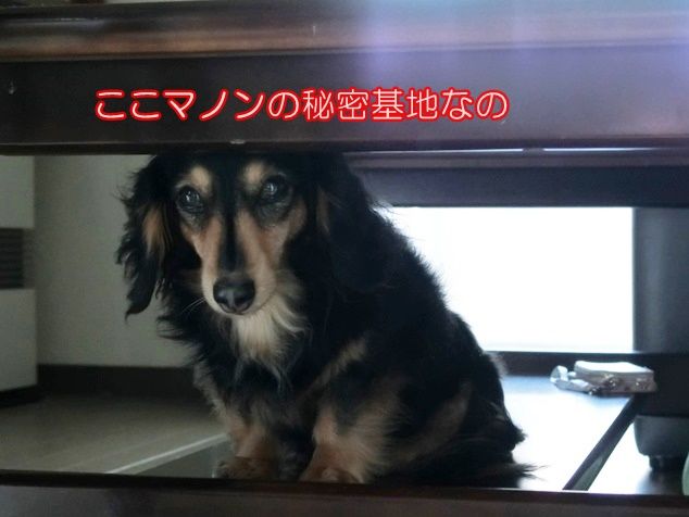 CIMG0933