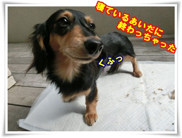 10_201309291234280af.jpg