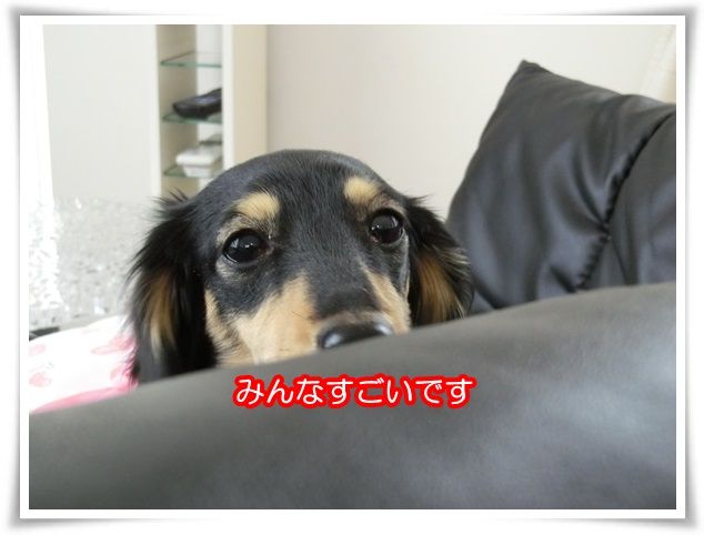 10-20150121.jpg