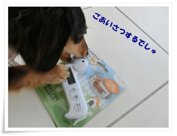 CIMG1-20121022.jpg