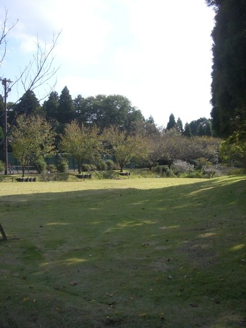 CIMG3088