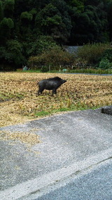 201110251018000