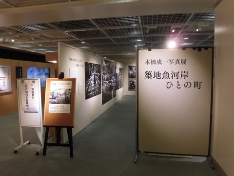 CIMG8442
