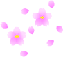 sakurasmall