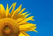 1214