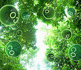 eco