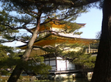 金閣寺