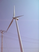 c8378782.jpg