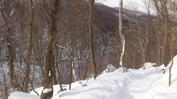 20120205_moiwa02