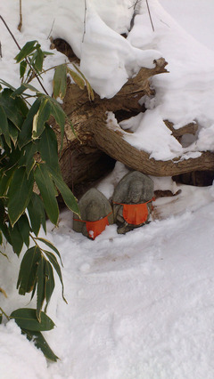 20120205_moiwa04