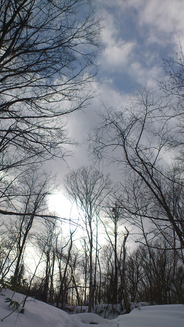20120205_moiwa01