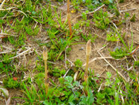 P3260403