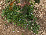 DSCF4038
