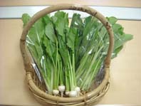 春野菜