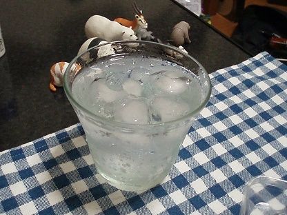 P9050015